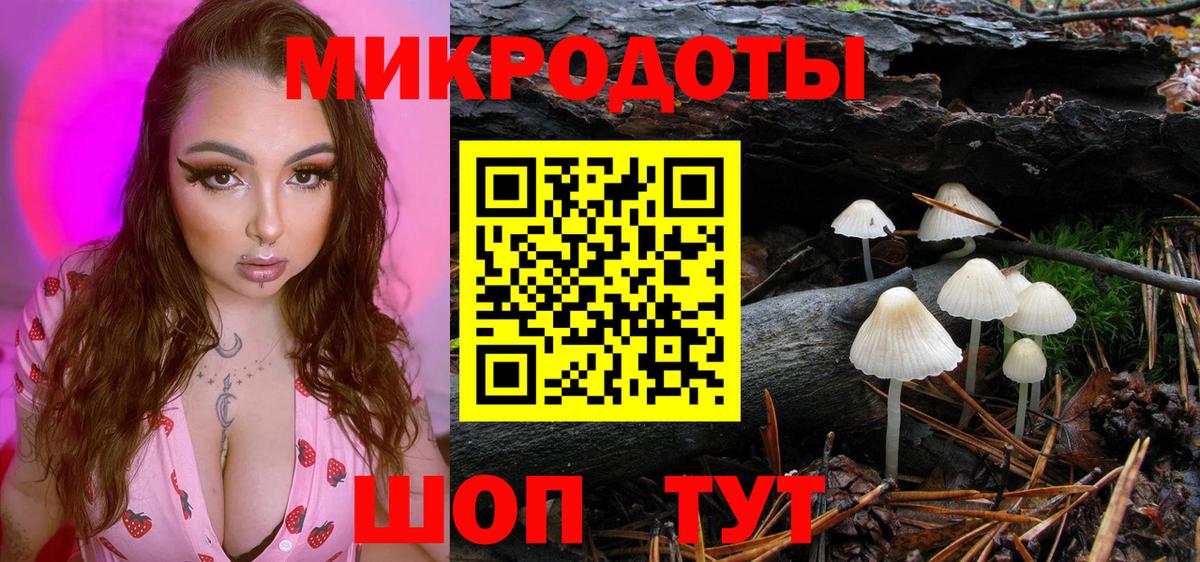 где купить   Вход с VPN  Галлюциногенные грибы Psilocybine cubensis  Ртищево  Галлюциногенные грибы мухоморы 