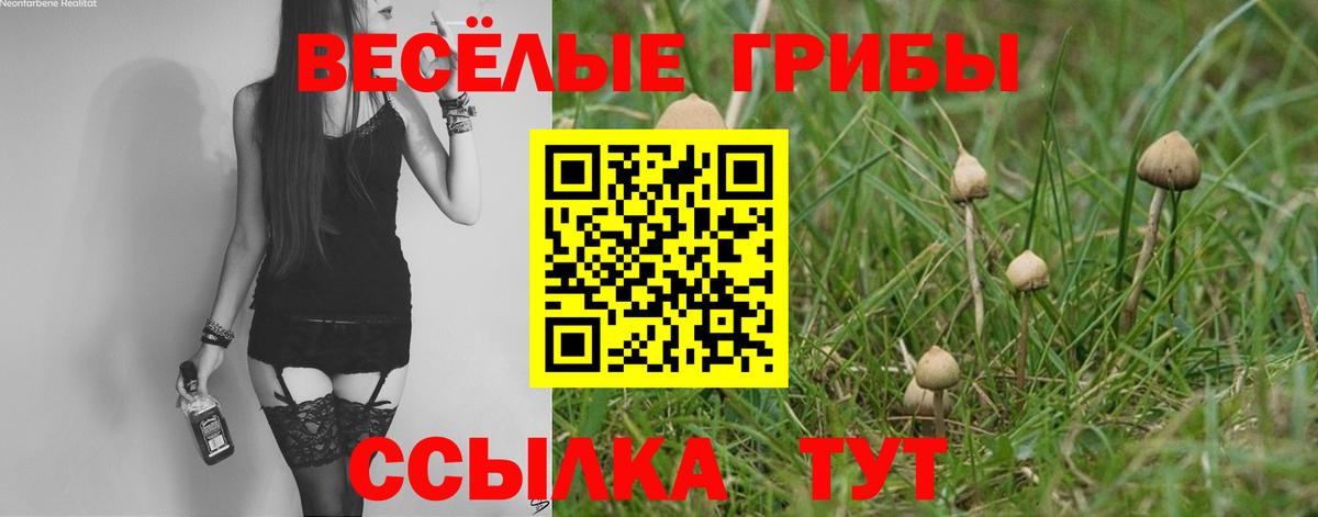 Галлюциногенные грибы ЛСД Ртищево